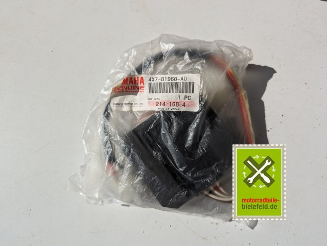 PXL_20240528_150840003